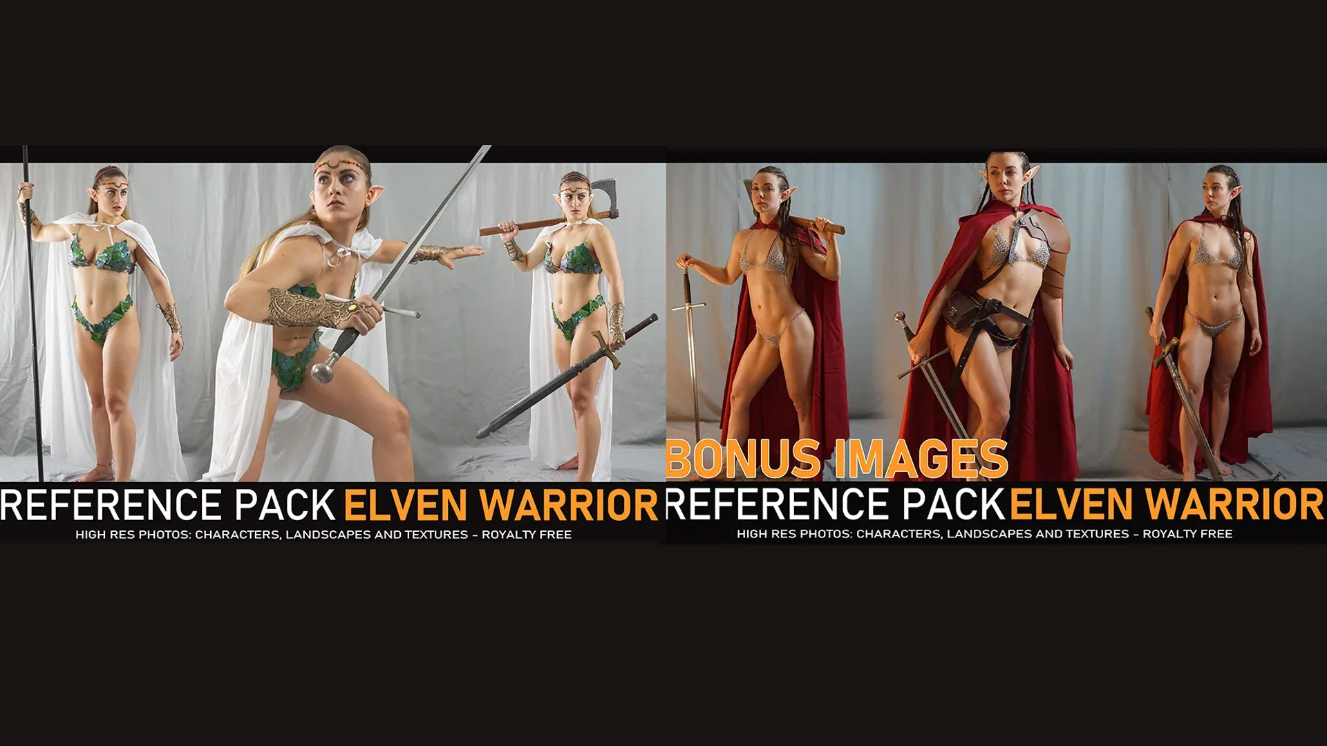 Elven Warrior - 500 Reference pictures