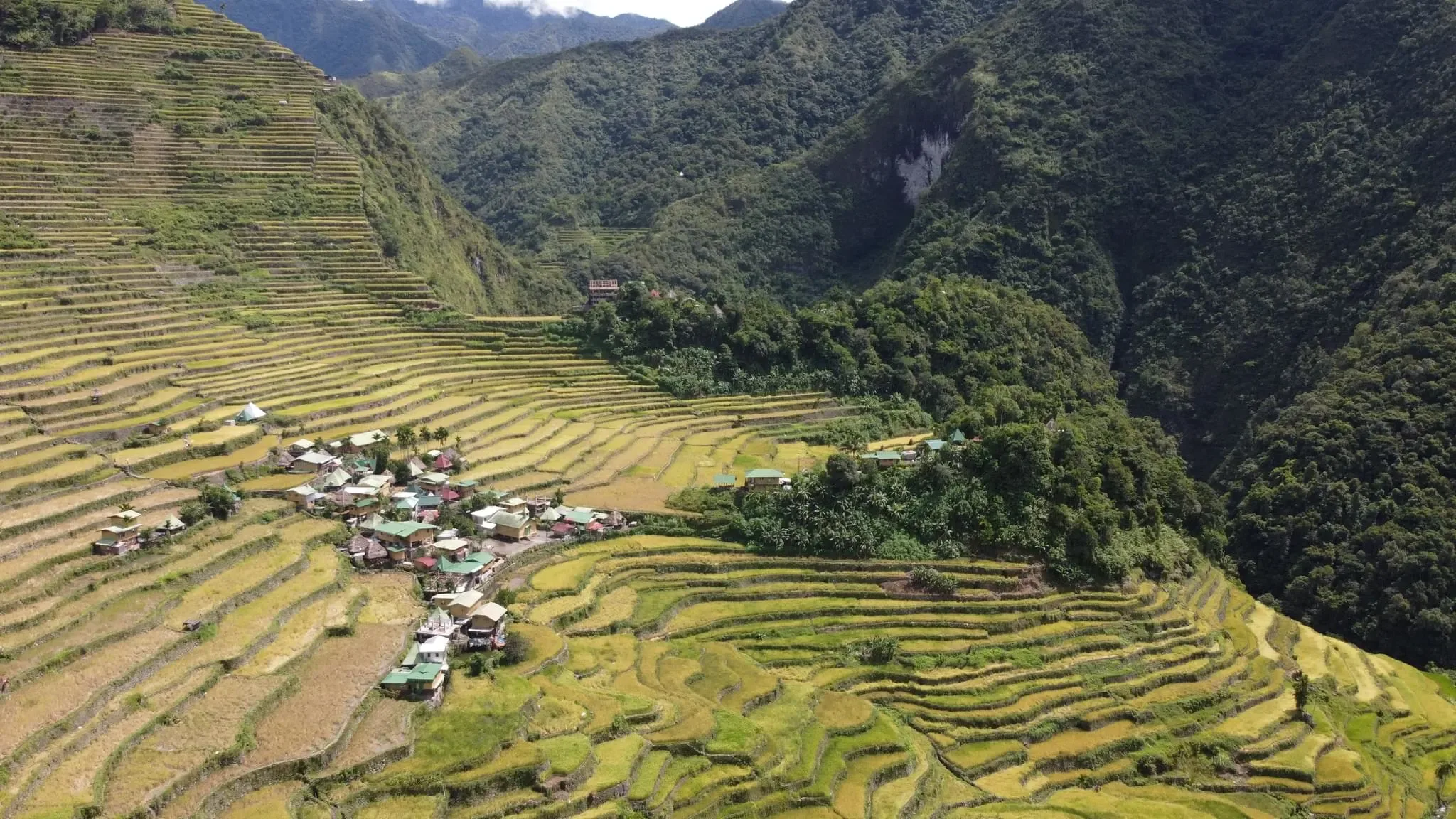 503 photos of Rice Terraces Asian Village