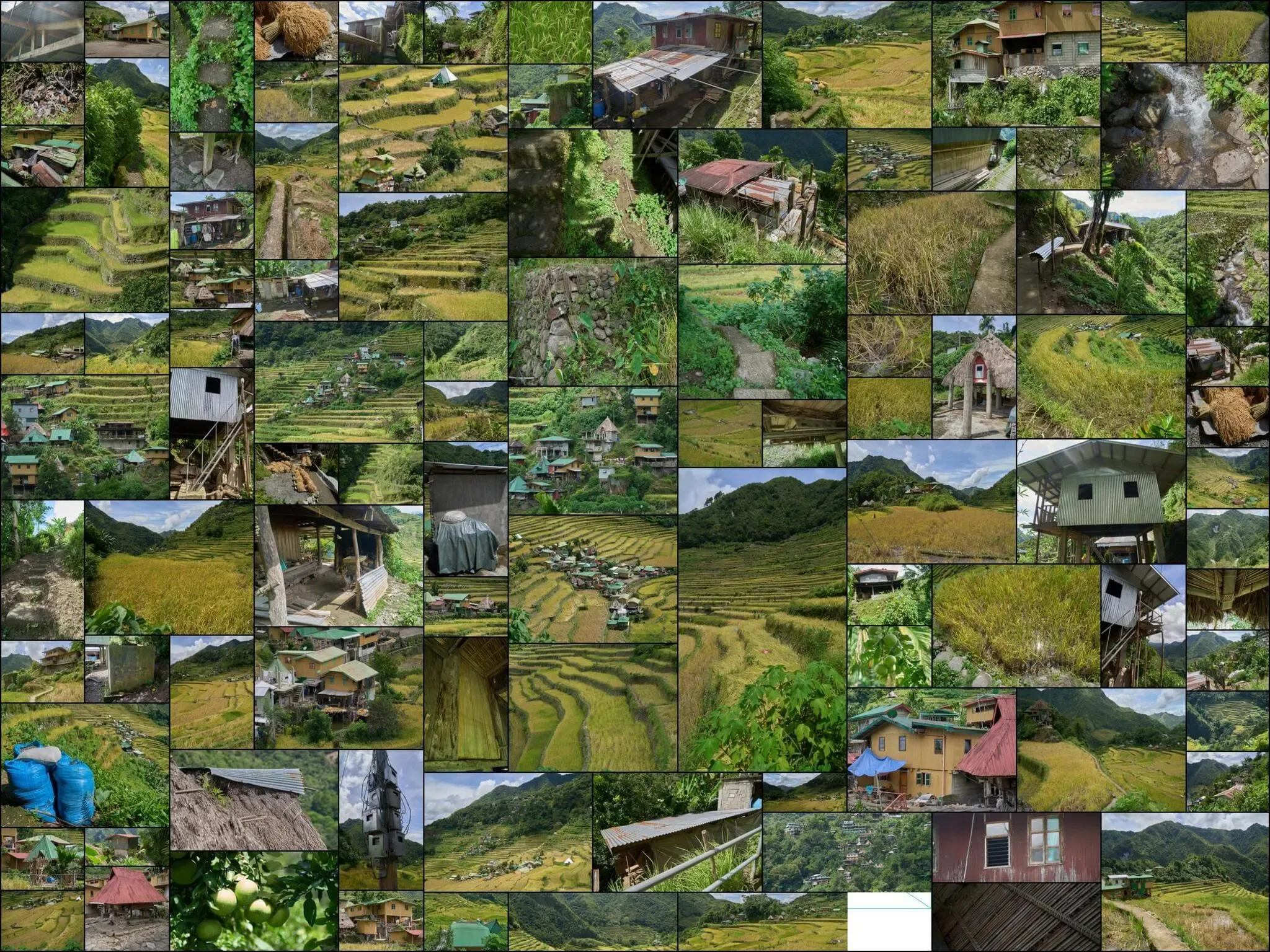 503 photos of Rice Terraces Asian Village