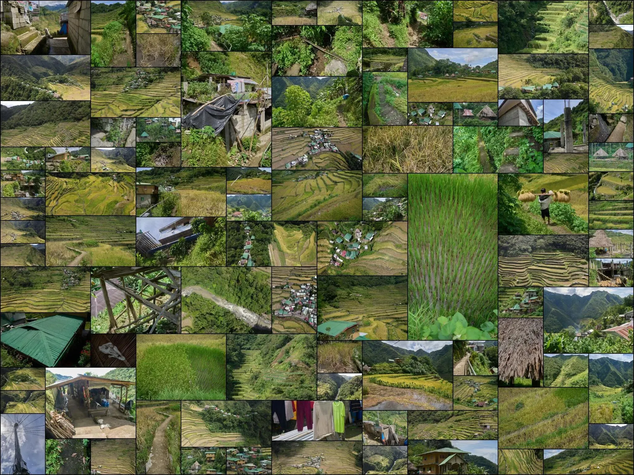 503 photos of Rice Terraces Asian Village