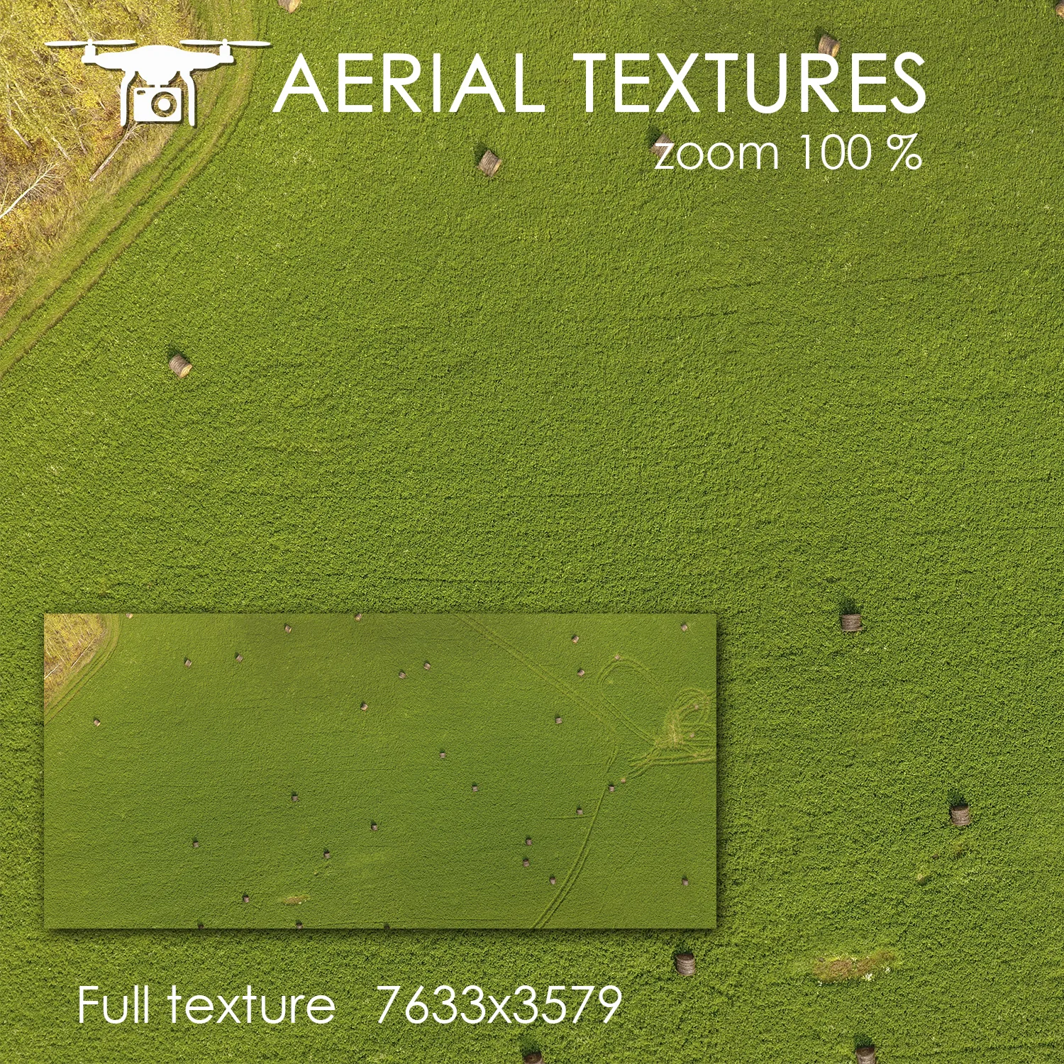 Aerial Texture 146