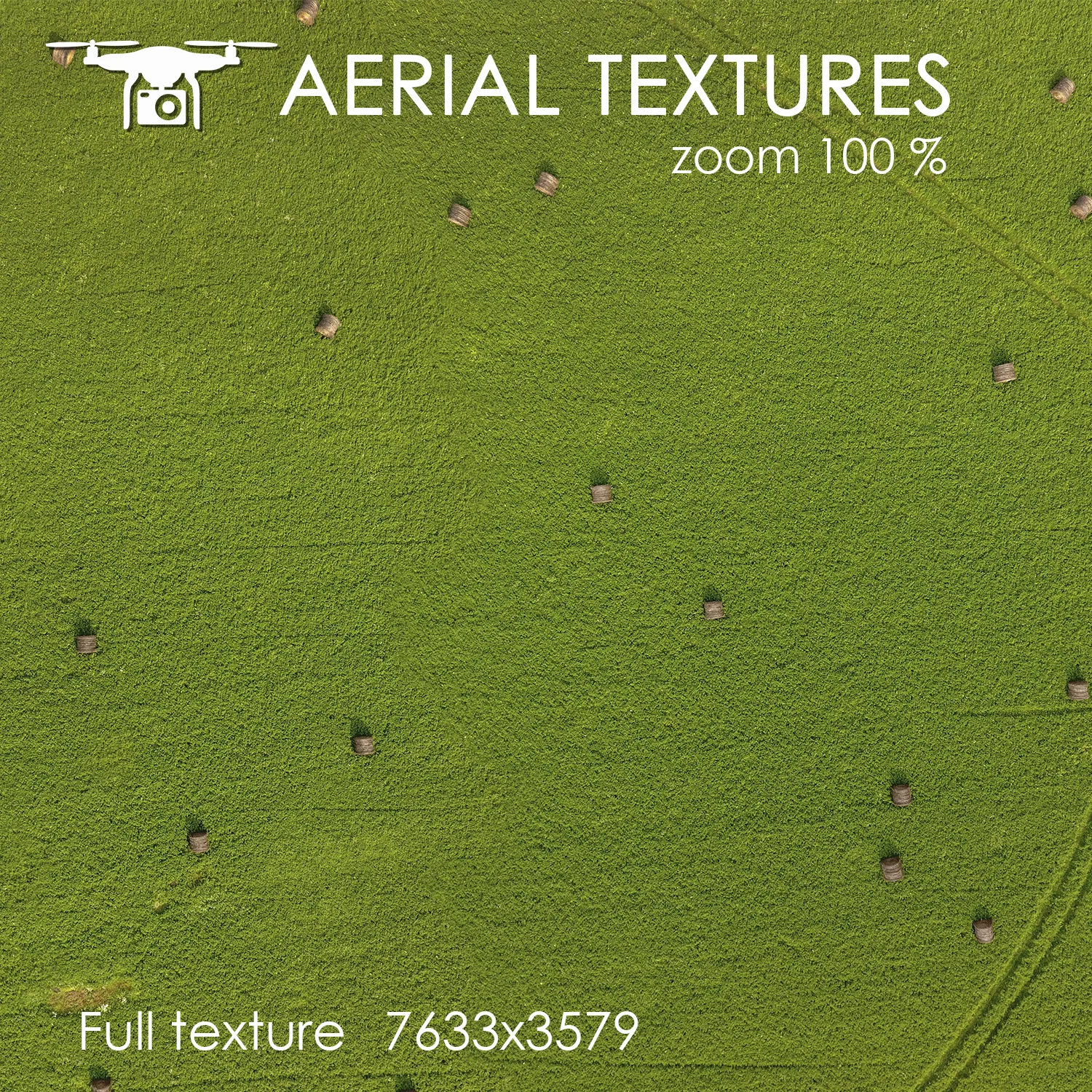 Aerial Texture 146