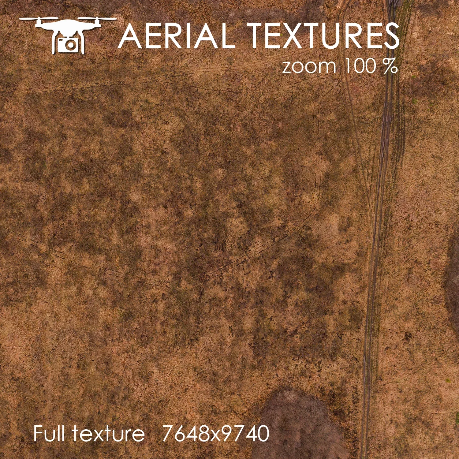 Aerial Texture 263