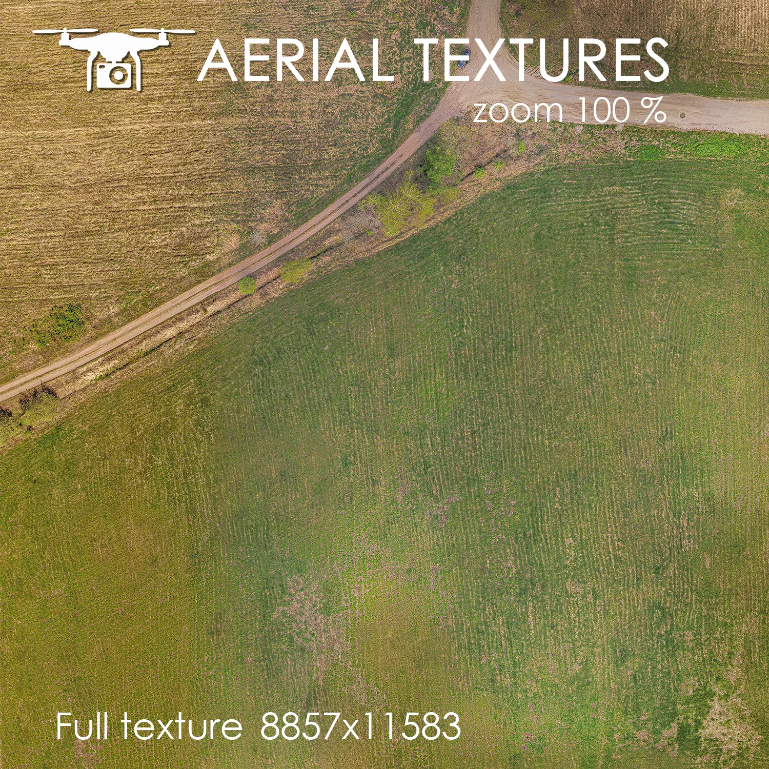 Aerial Texture 275