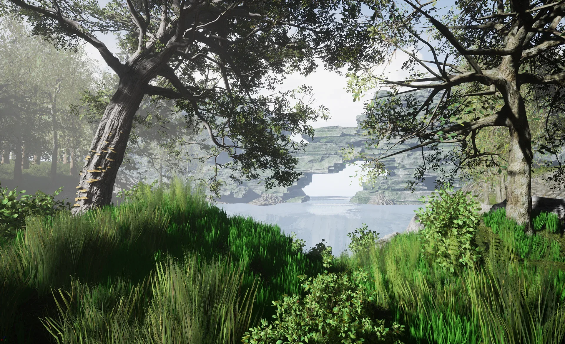 Nature Environment Asset Pack vol 2