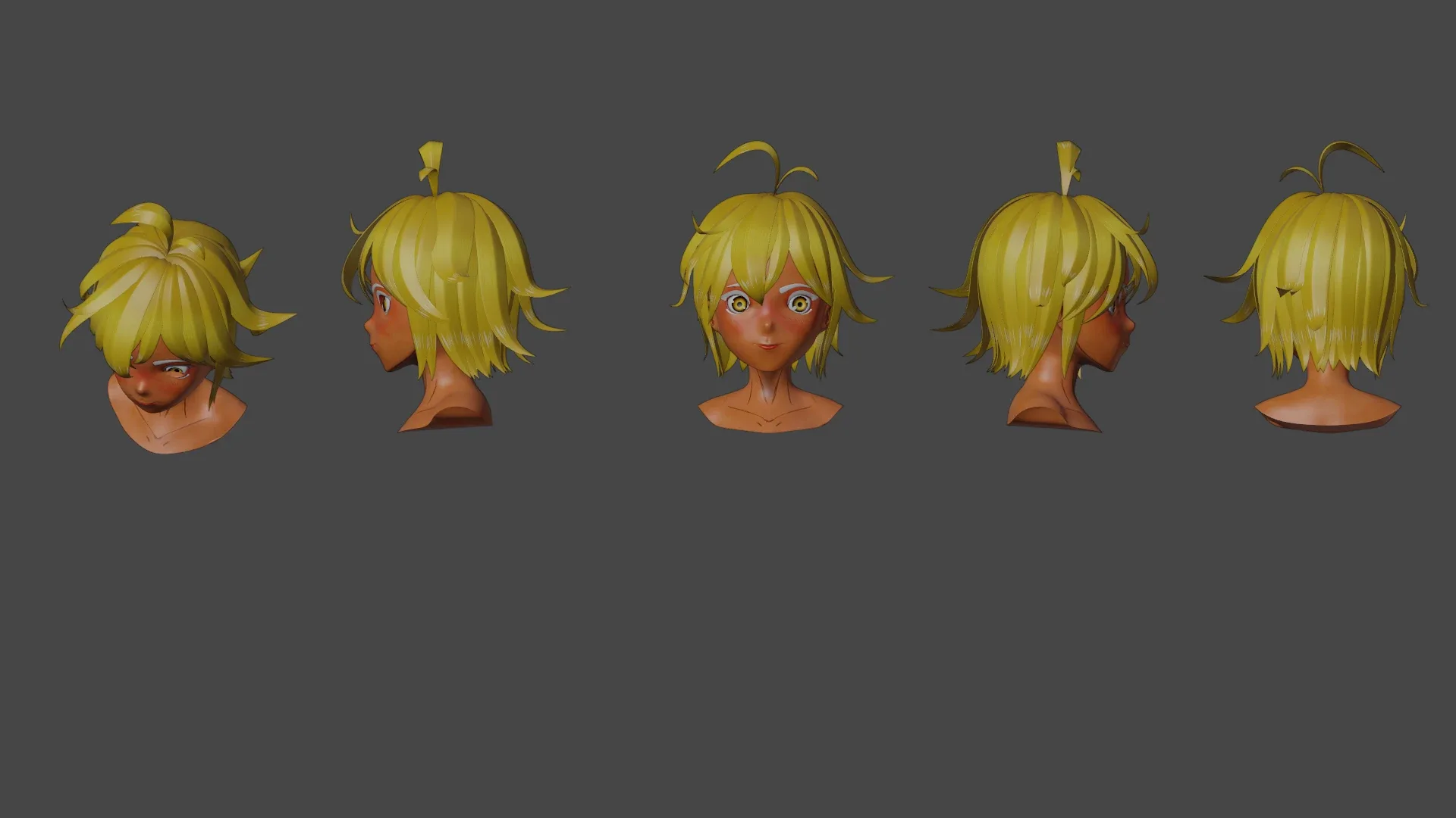 Hair Pack 10 Models