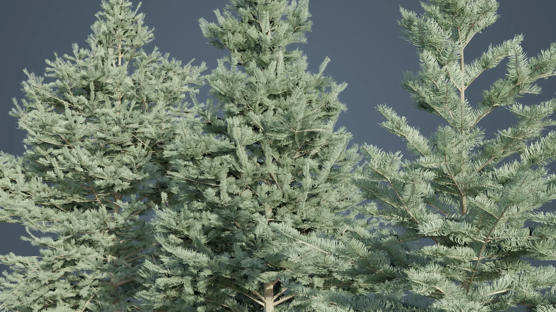 White Fir Trees FlippedNormals