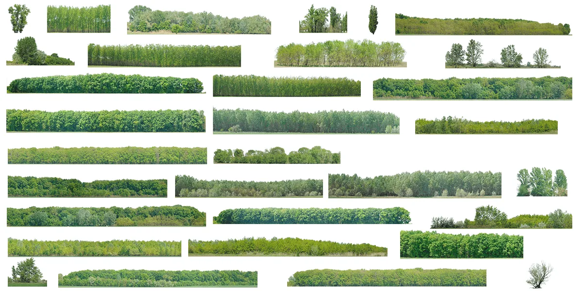 Green Trees (image backdrops)
