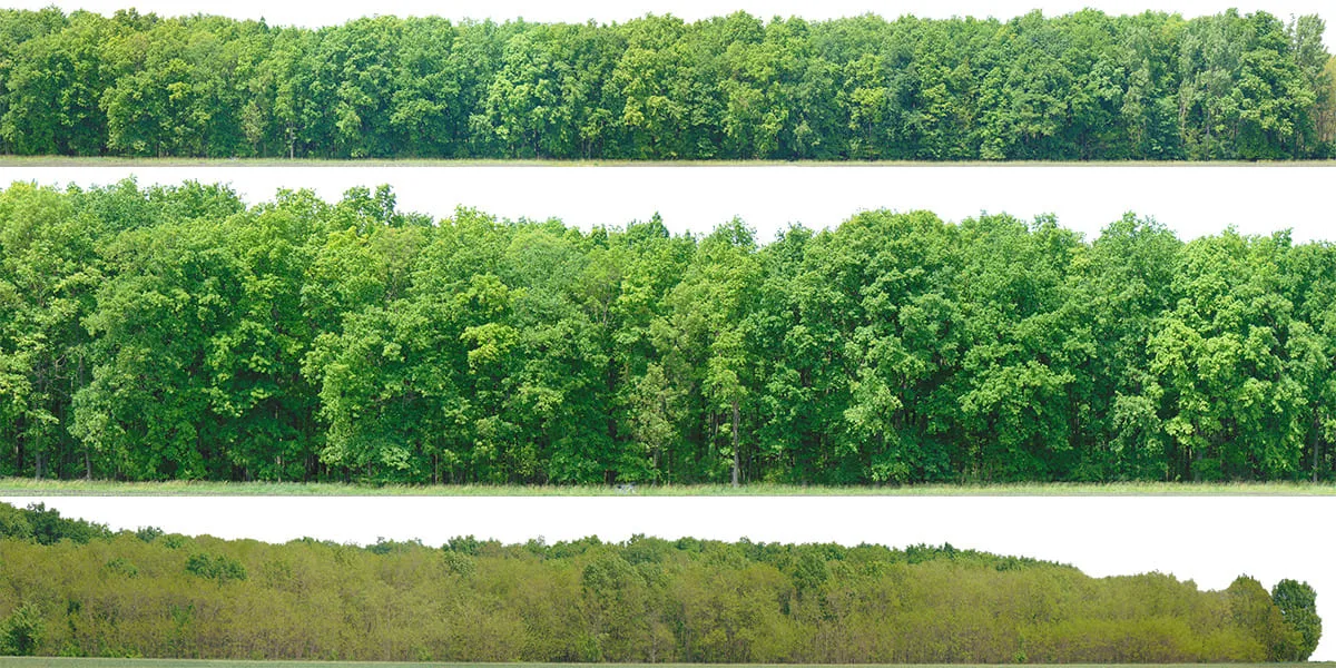 Green Trees (image backdrops)