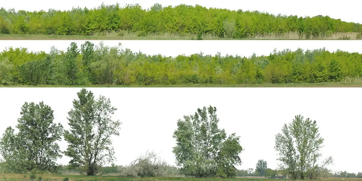 Green Trees (image backdrops)