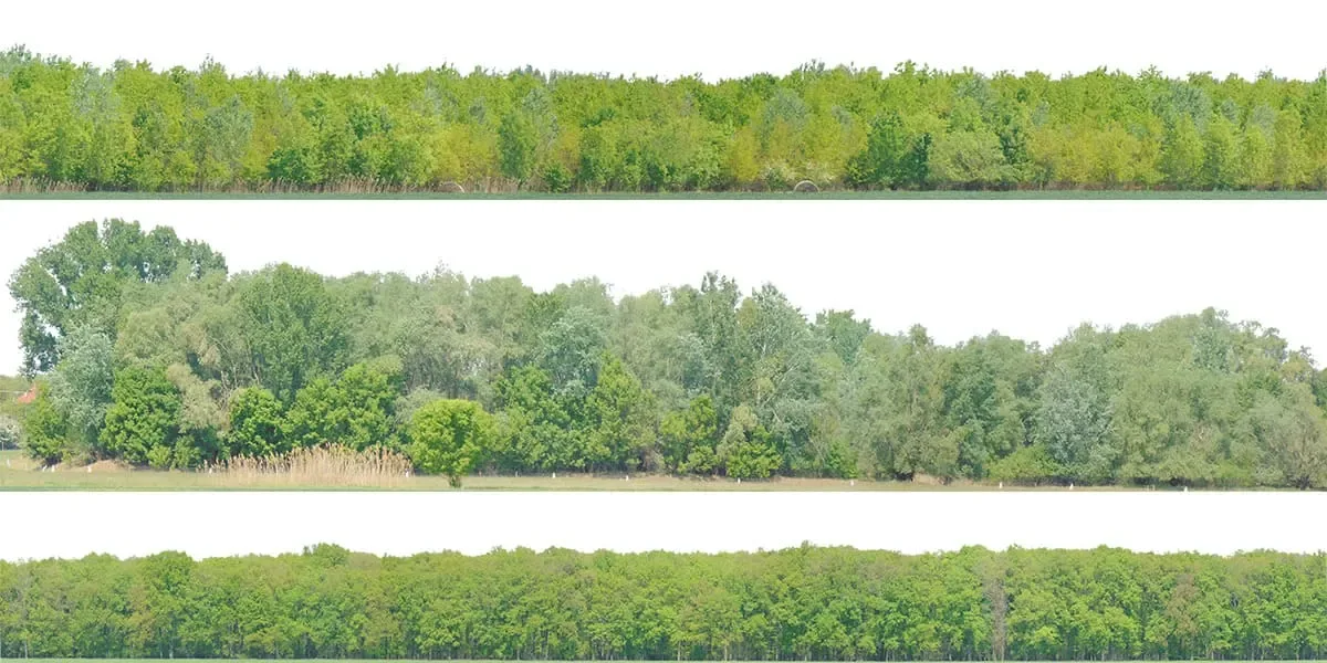 Green Trees (image backdrops)