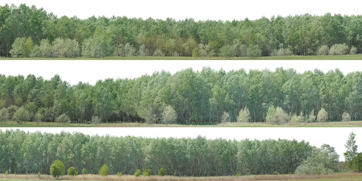 Green Trees (image backdrops)