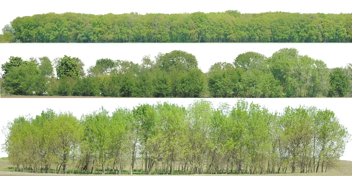 Green Trees (image backdrops)