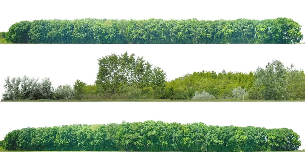 Green Trees (image backdrops)