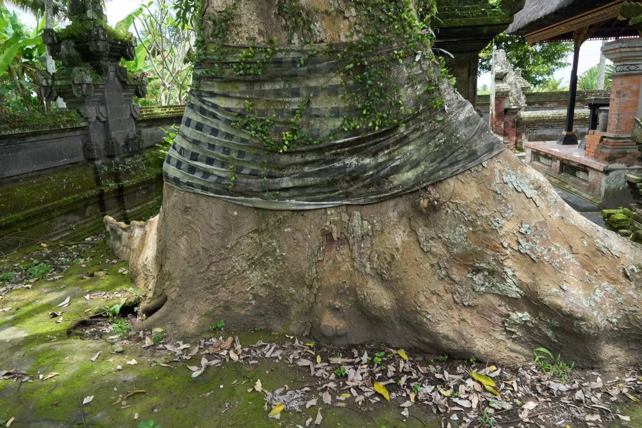 96 photos of Small Hindu Temple Bali