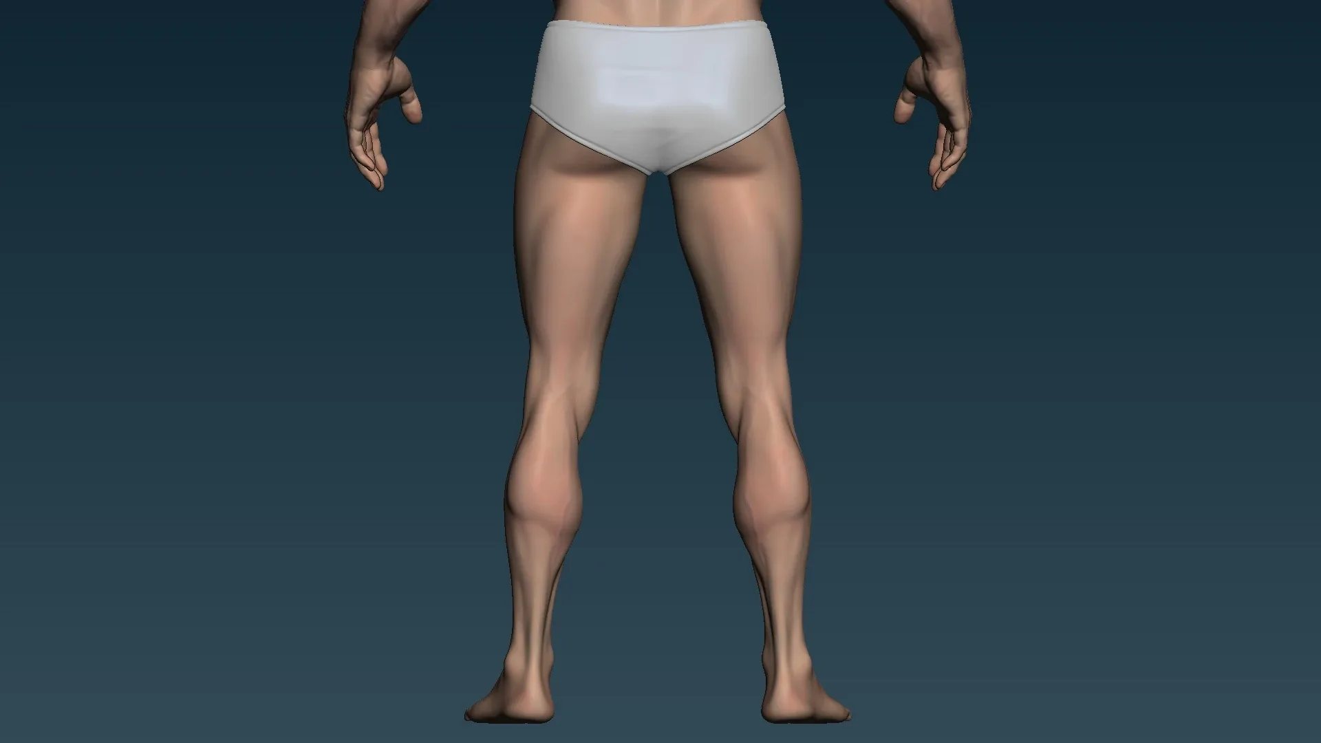 Male base mesh