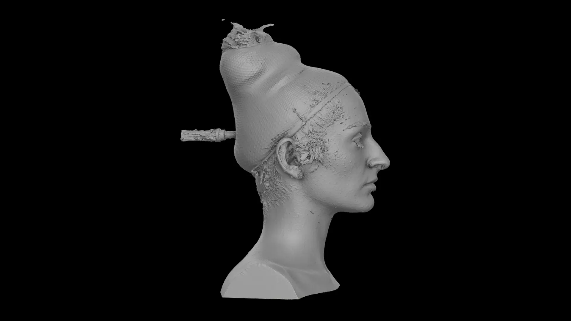 Raw Head Scan | 3D Model Waja