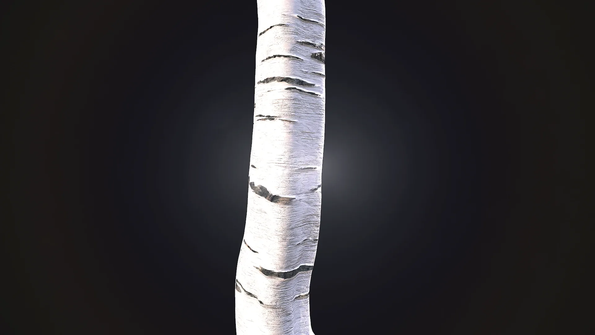 Birch Bark Textures