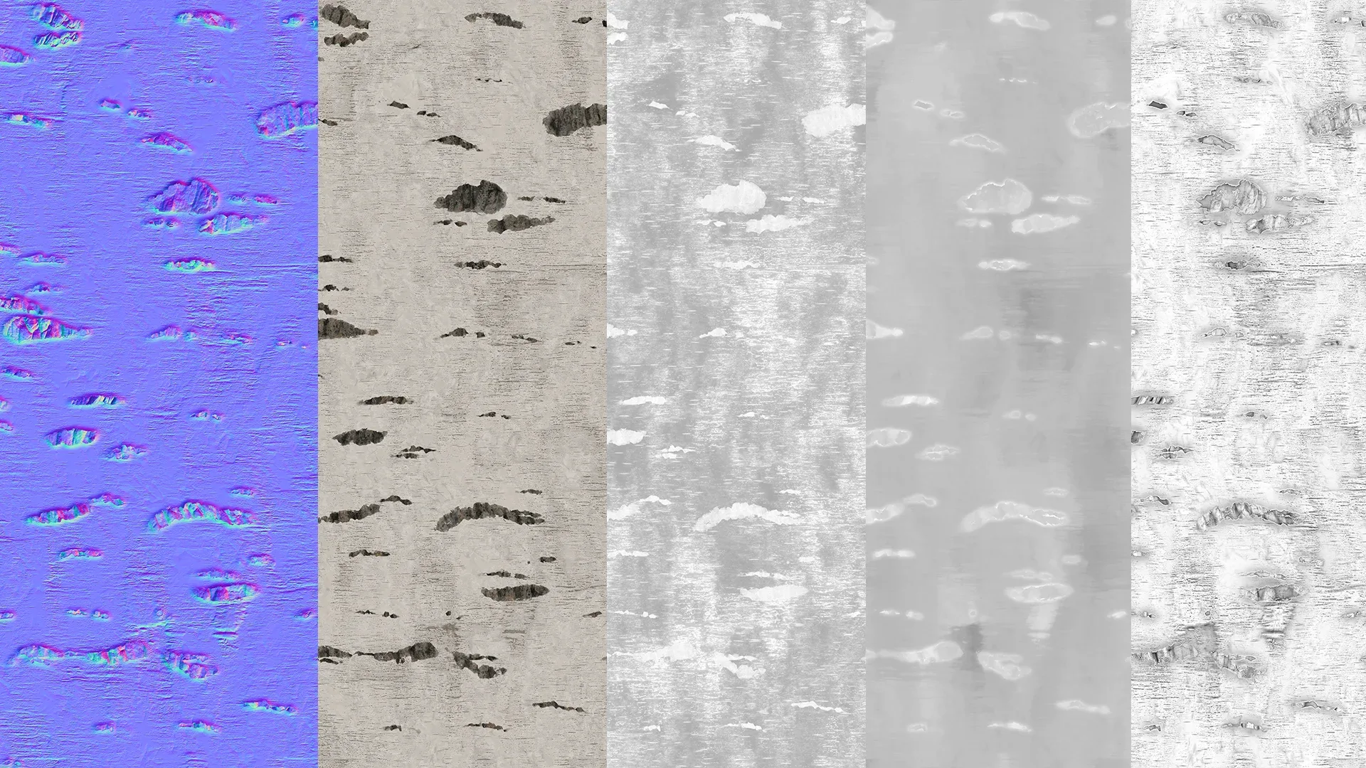 Birch Bark Textures