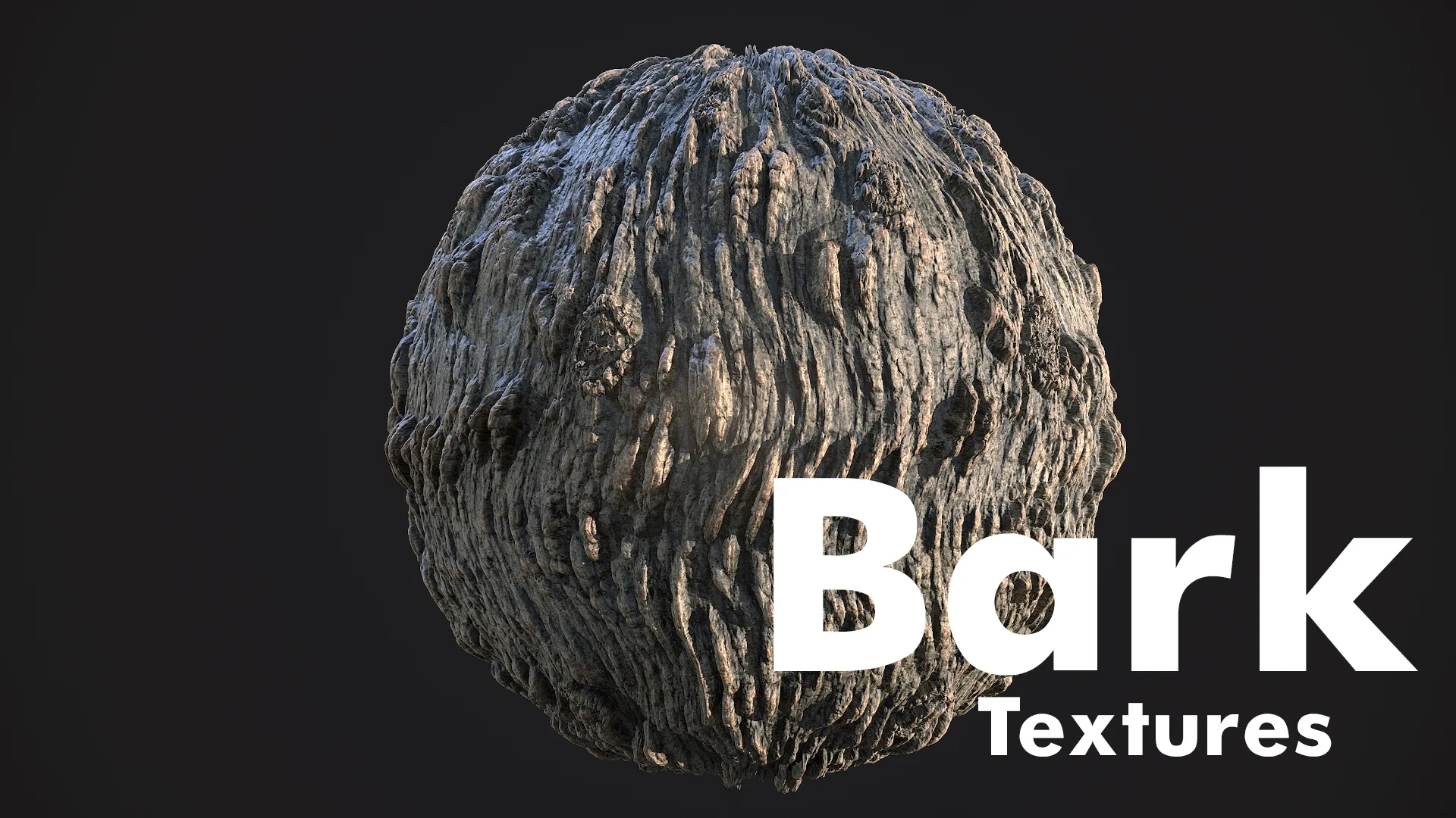 Tree Bark Textures