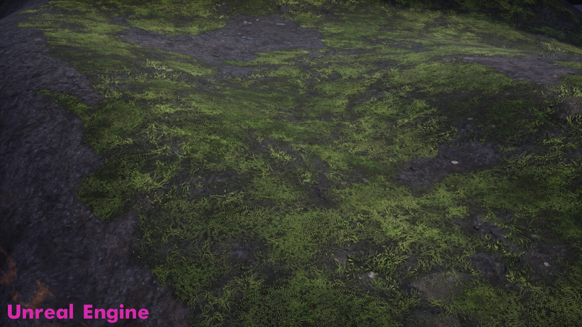 Moss Tileable Material with Substance Graph Texture