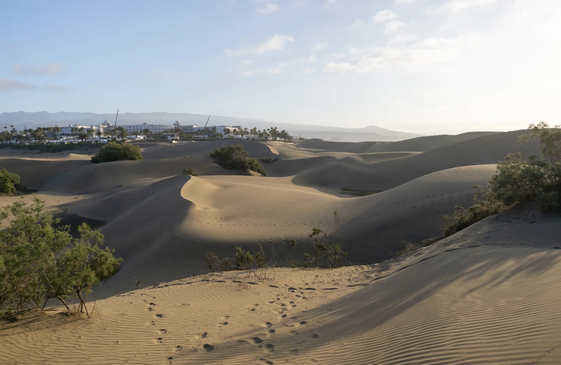 DESERT environment - 365 HIGH QUALITY photos, different lighting, up to 42 MPX