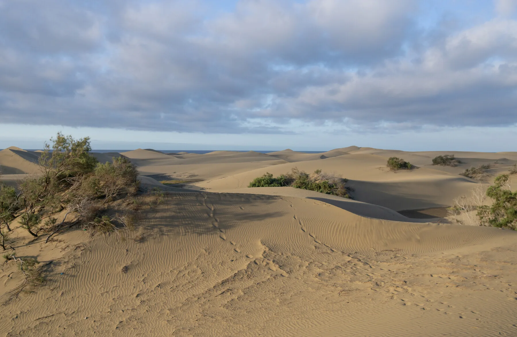 DESERT environment - 365 HIGH QUALITY photos, different lighting, up to 42 MPX