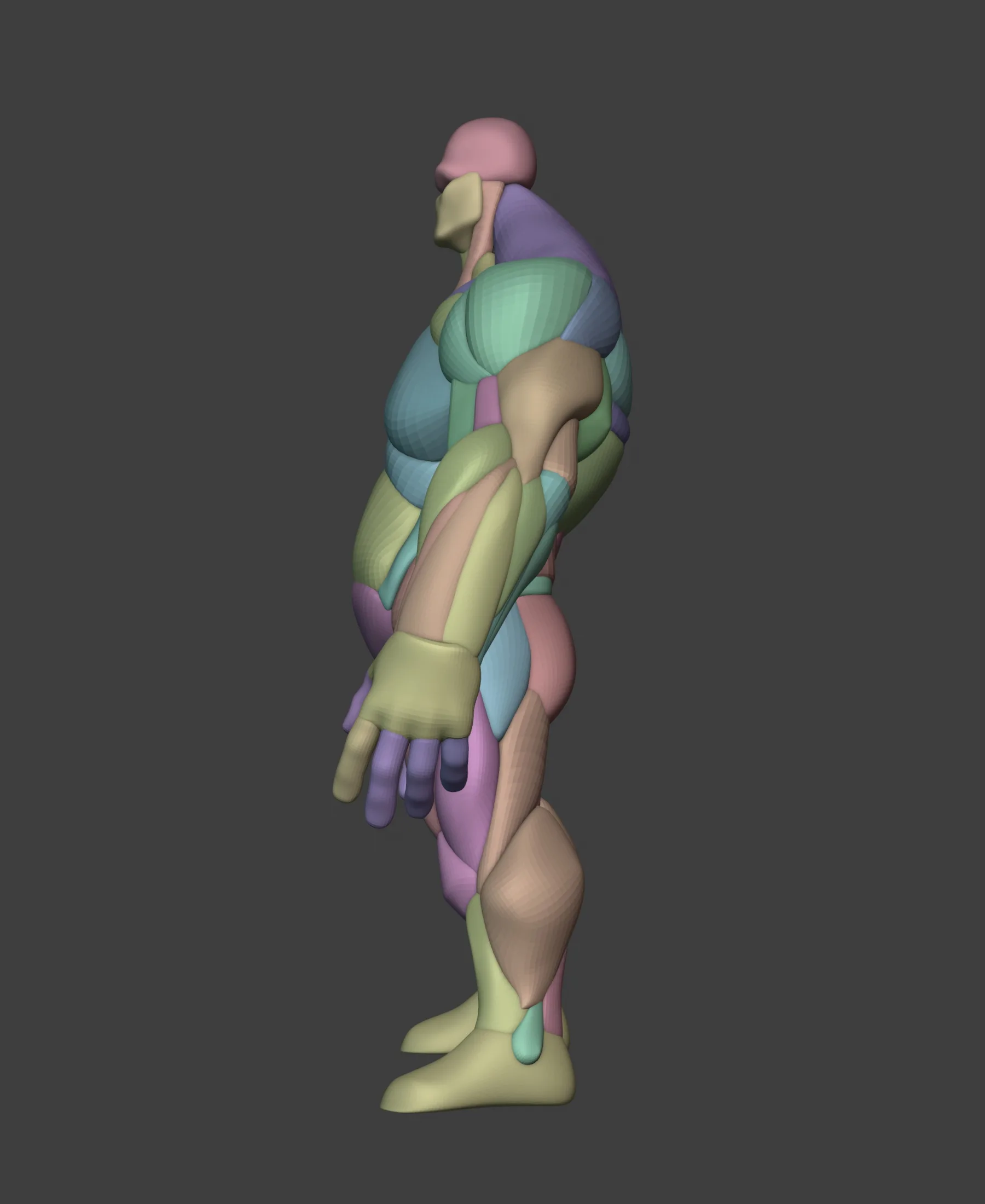 Stylized Heavy Anatomy Blockout