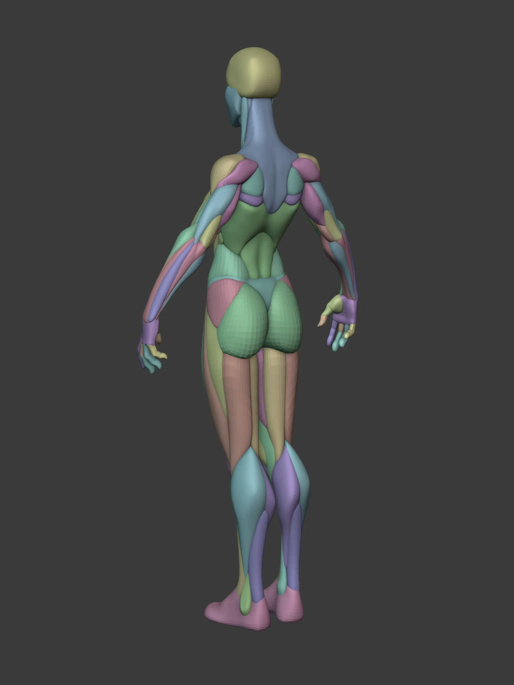 Stylized Heroine Anatomy Blockout