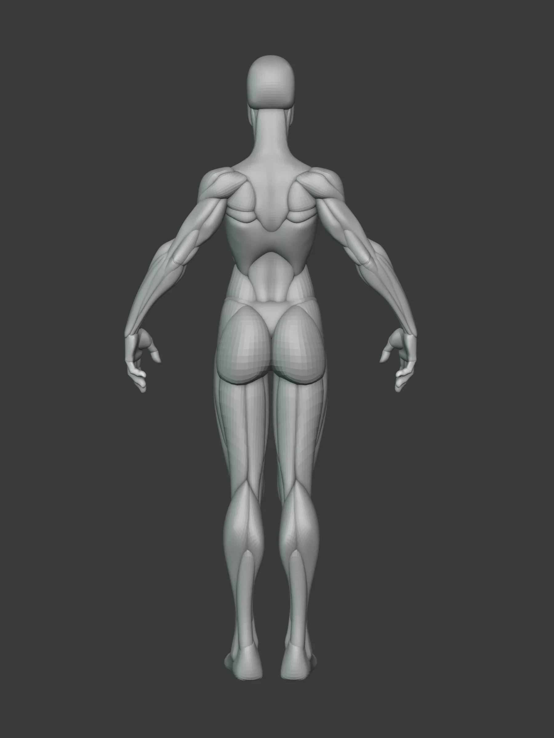 Stylized Heroine Anatomy Blockout