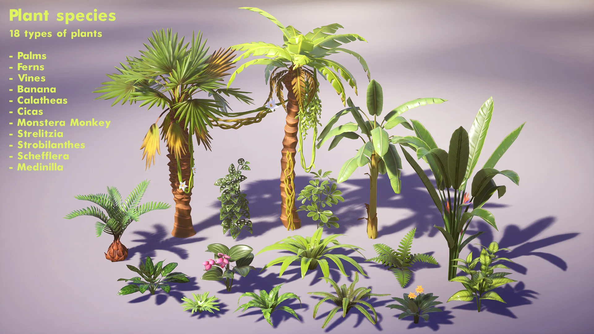 Tropical Plants Pack