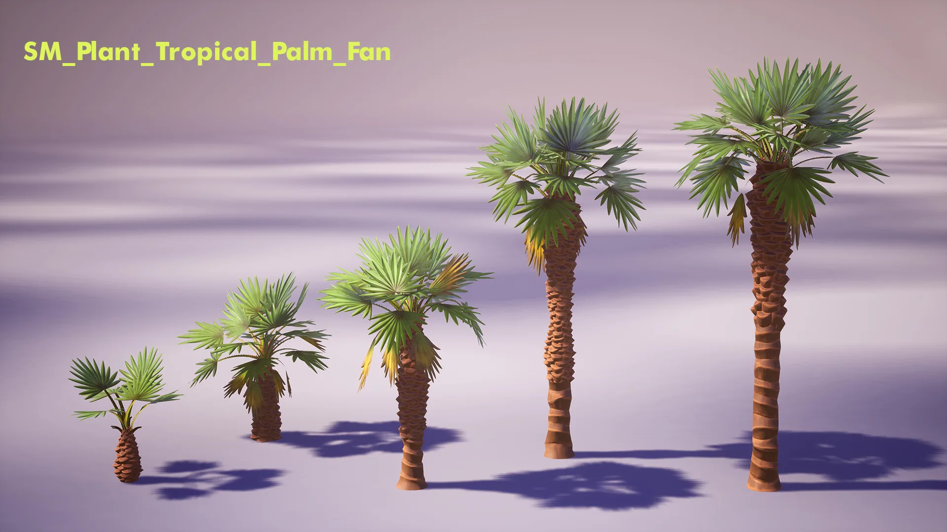 Tropical Plants Pack