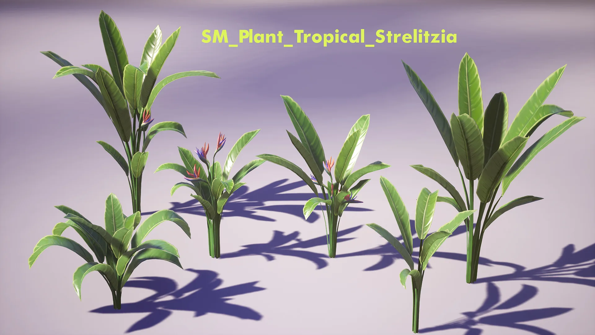 Tropical Plants Pack