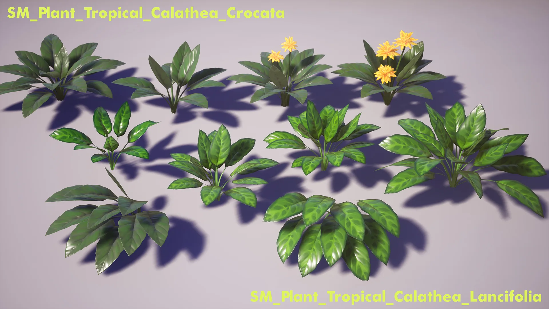 Tropical Plants Pack