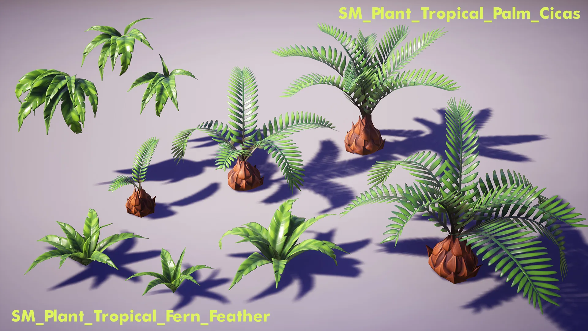 Tropical Plants Pack