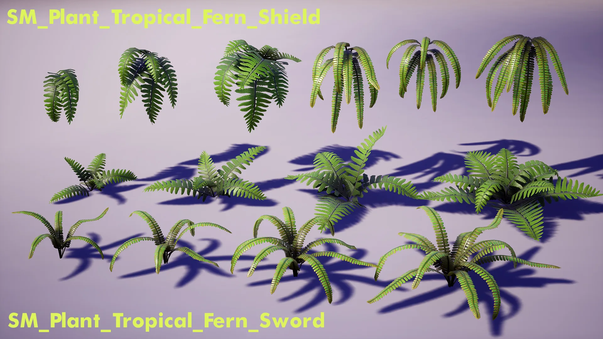 Tropical Plants Pack