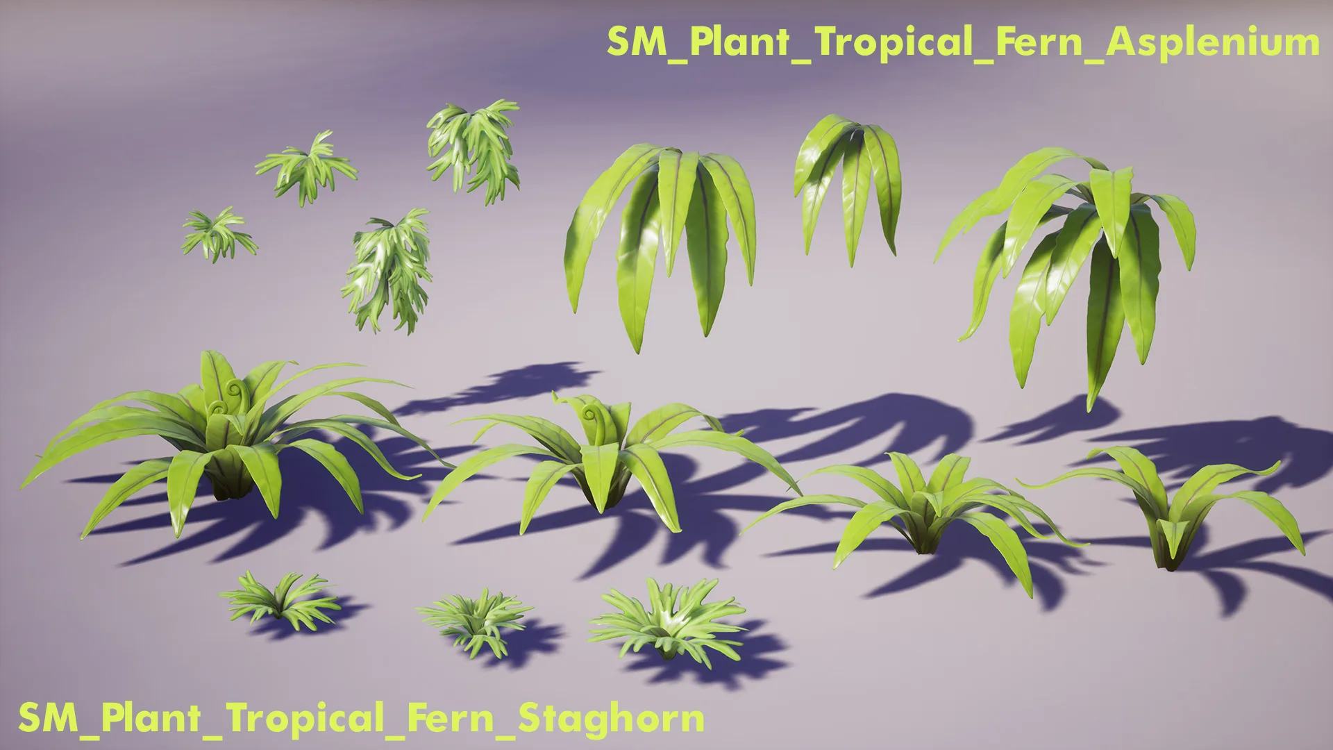 Tropical Plants Pack