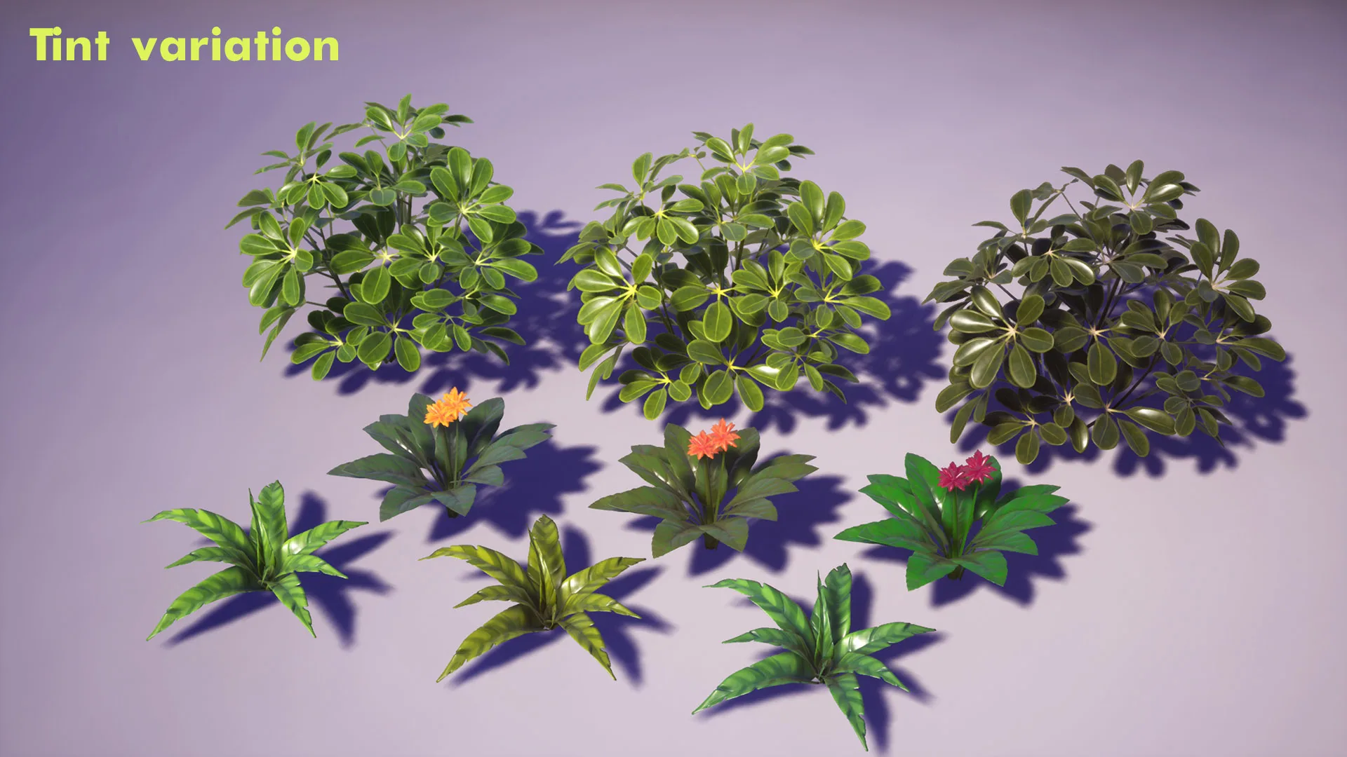 Tropical Plants Pack