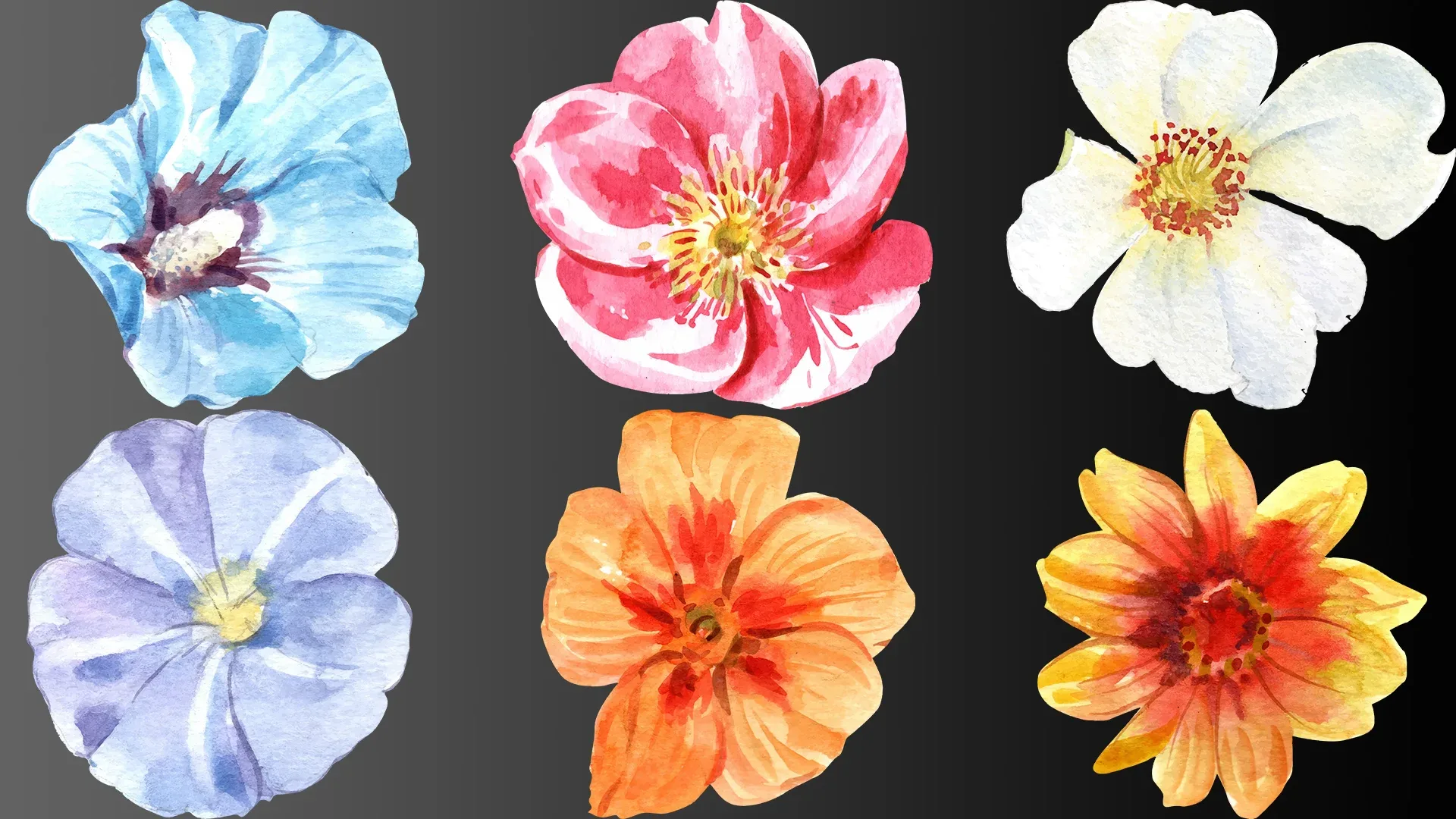 1000 Flowers & Trees transparent background png 8k vol 3