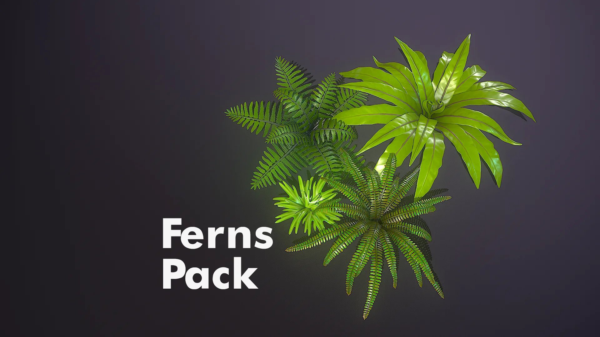 Ferns Pack