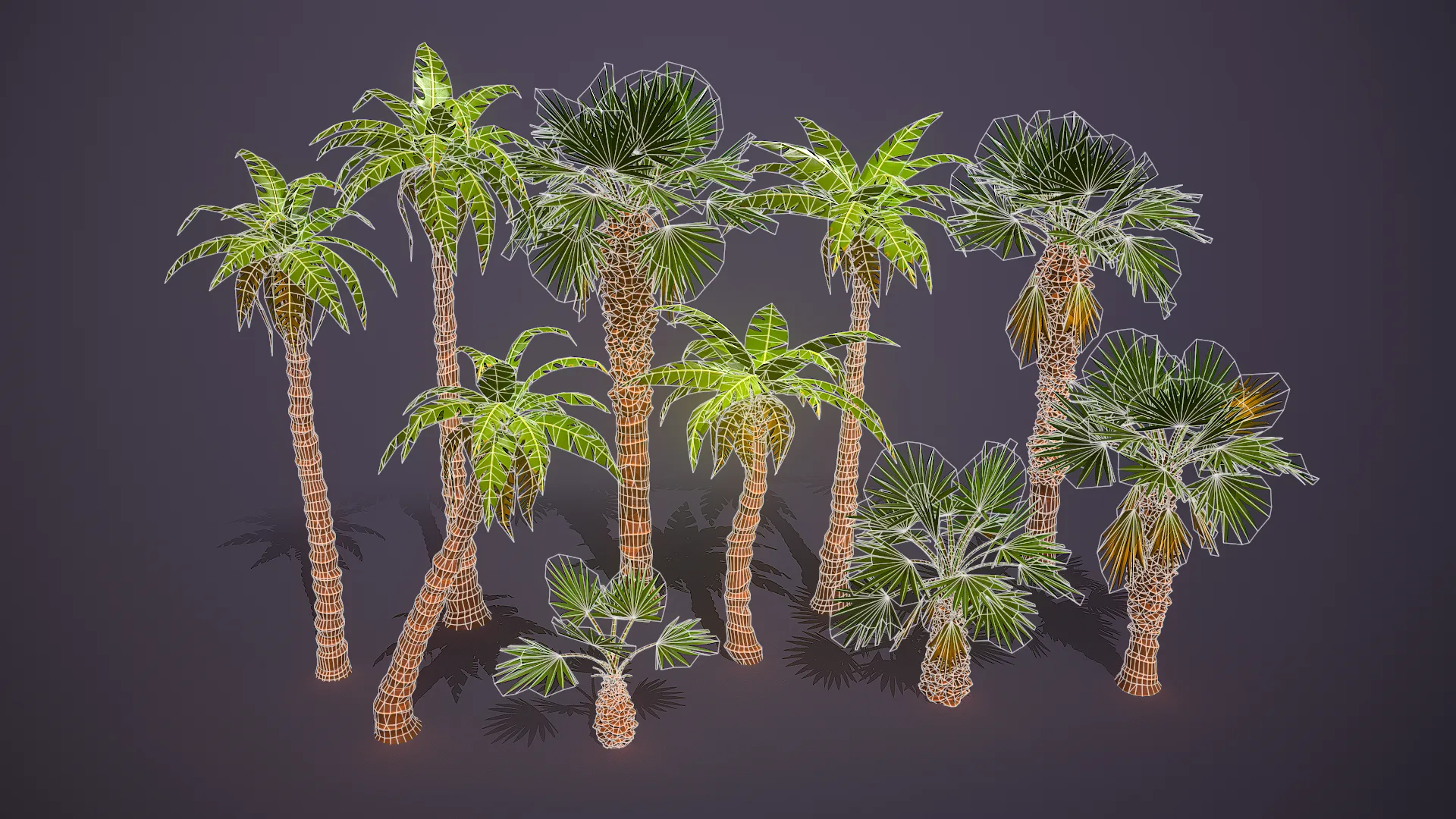 Stylized Palm Trees