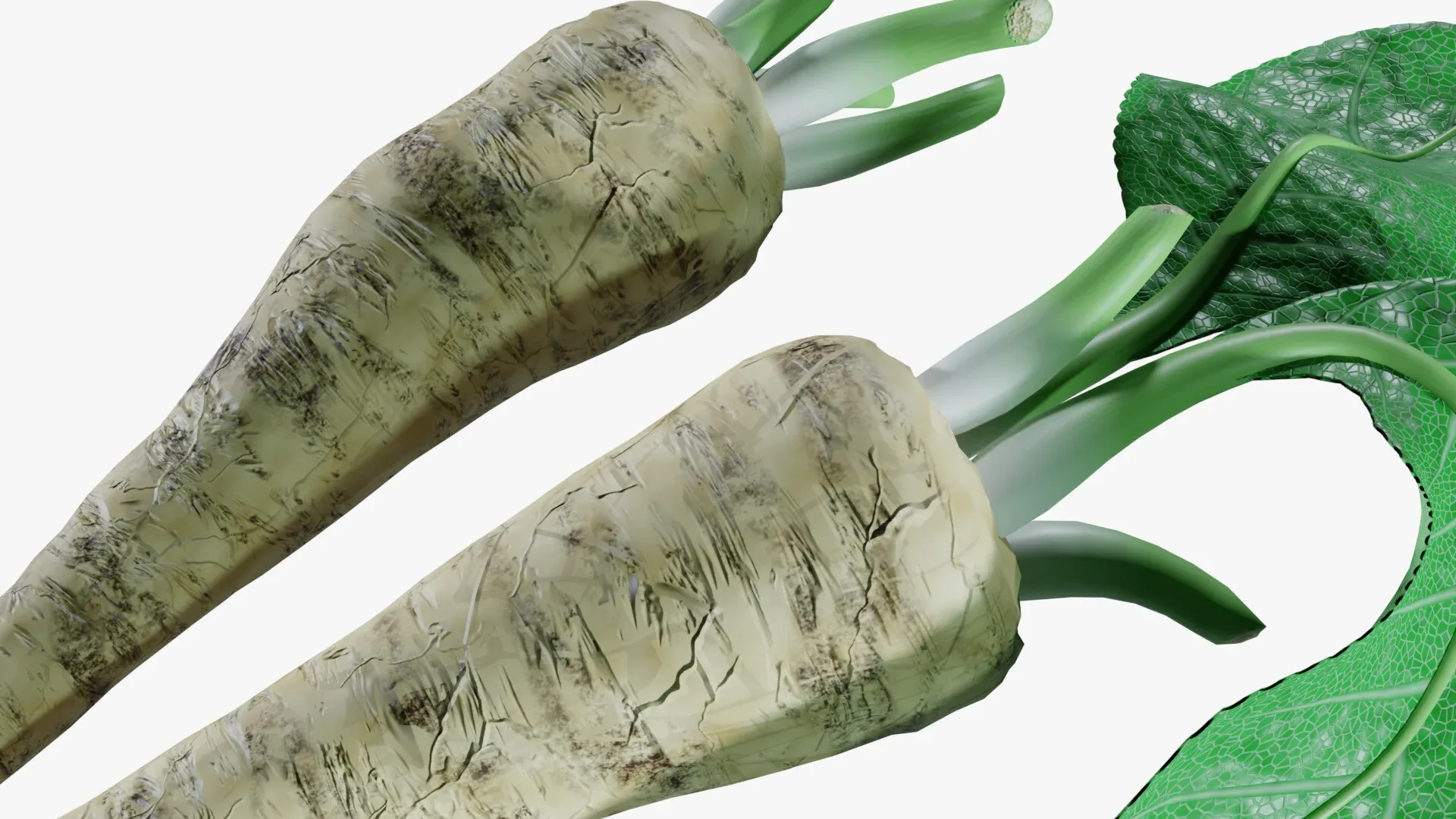 Horseradish roots