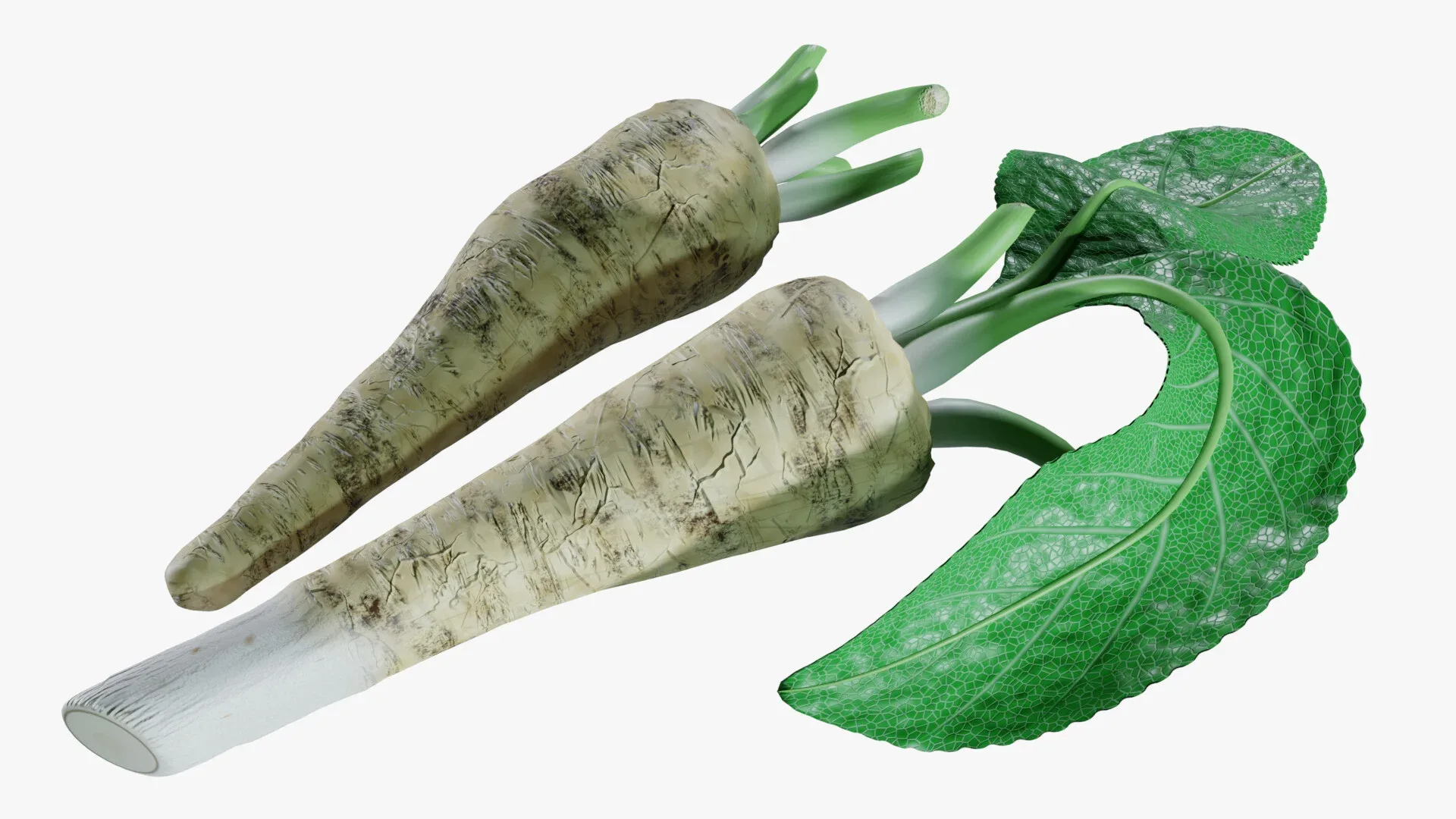 Horseradish roots