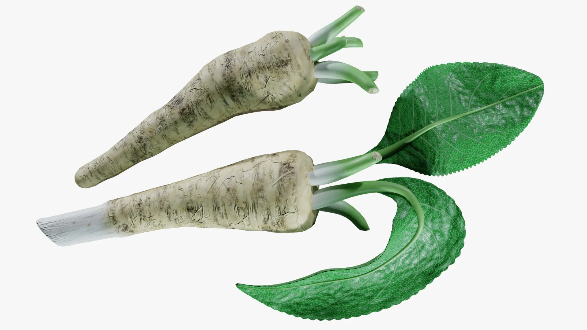 Horseradish roots