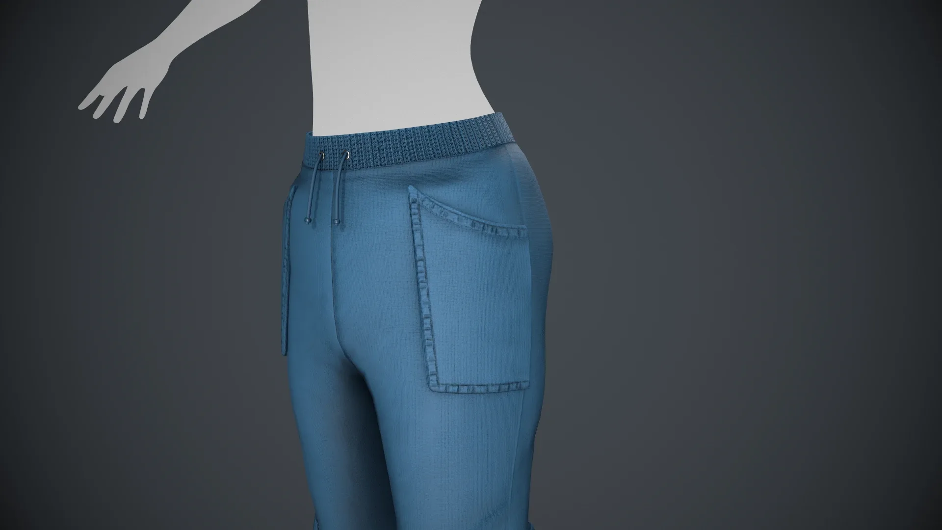 Blue Sport Pants Style 1