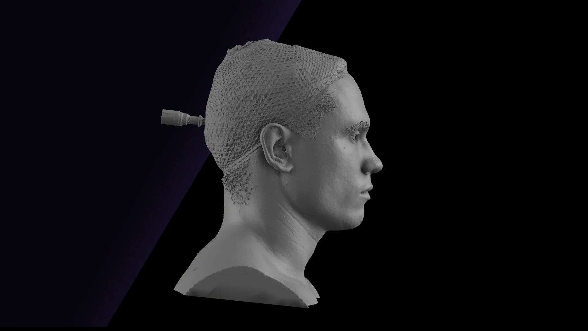 Raw Head Scan | 3D Model Gilbert