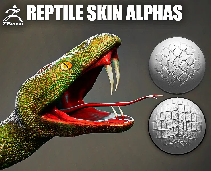 Reptile Skin Alphas for ZBrush