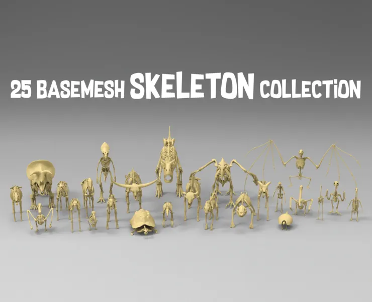 25 basemesh skeleton collection