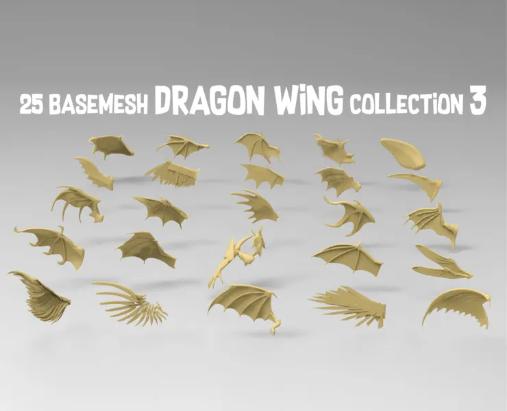 25 basemesh dragon wing collection 3