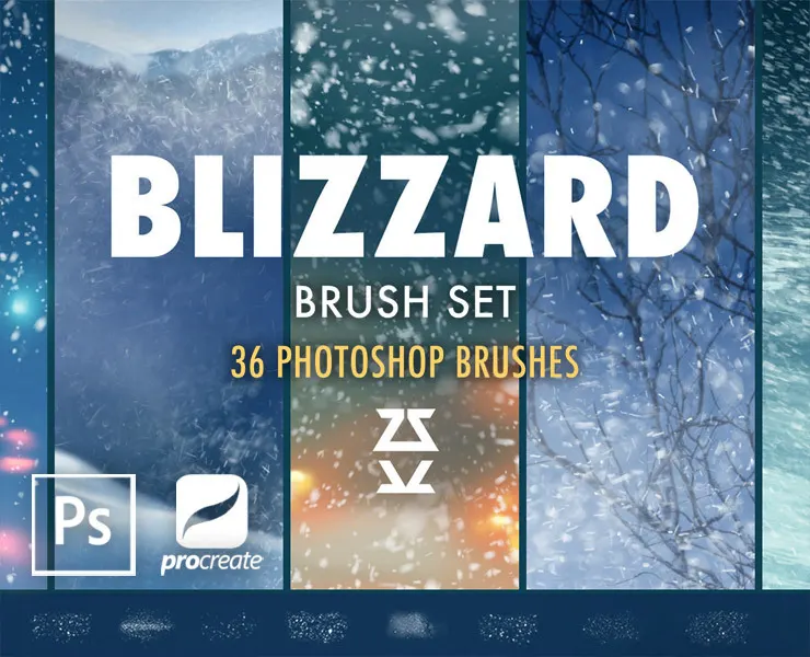 Blizzard Brush Set